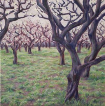 plum blossom garden-w